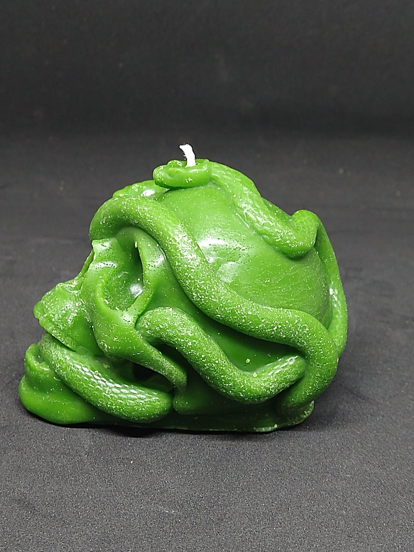 snake skull candle